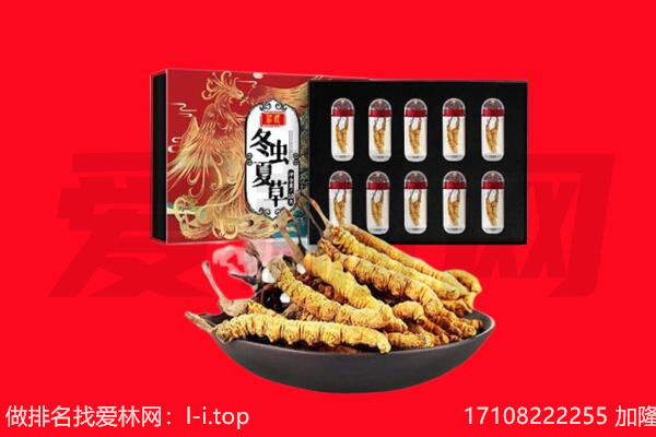 呼伦贝尔额尔古纳市回收虫草.jpg